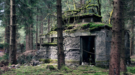 Vergessen Im Harz III